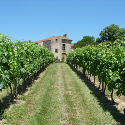 Château Argadens 2016 Bordeaux Blanc