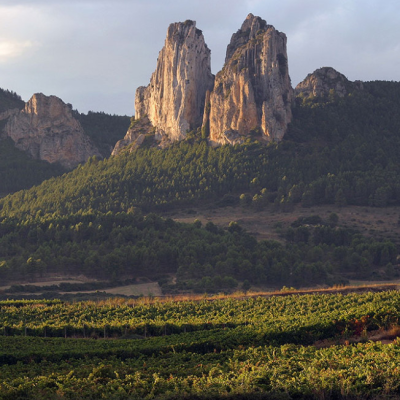 Muga 2013 Rioja Reserva