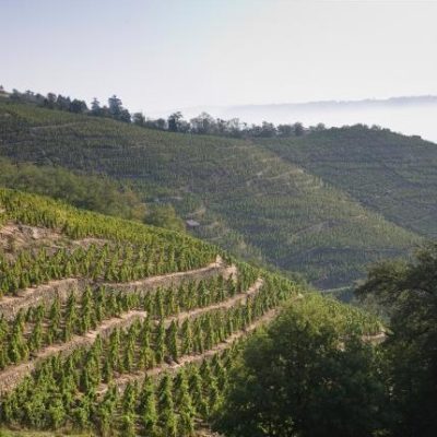 Pick of the Week: E. Guigal 2012 Crozes-Hermitage Rouge