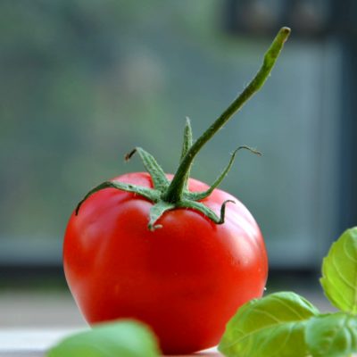 Summer Bounty – Fresh Tomato Recipes & Wine Picks