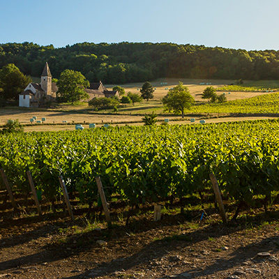 Vignerons de Buxy 2014 Montagny “Buissonnier”
