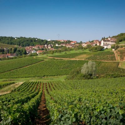 Vignerons de Buxy 2016 Montagny 1ER Cru “Buissonnier”
