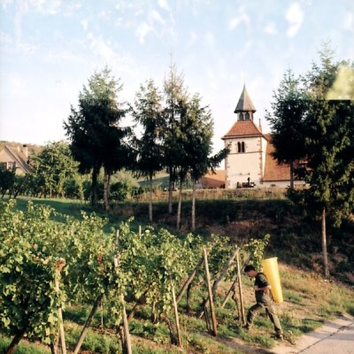 Willy Gisselbrecht 2015 Gewürztraminer “Tradition”