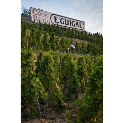 Guigal in LCBO Stores