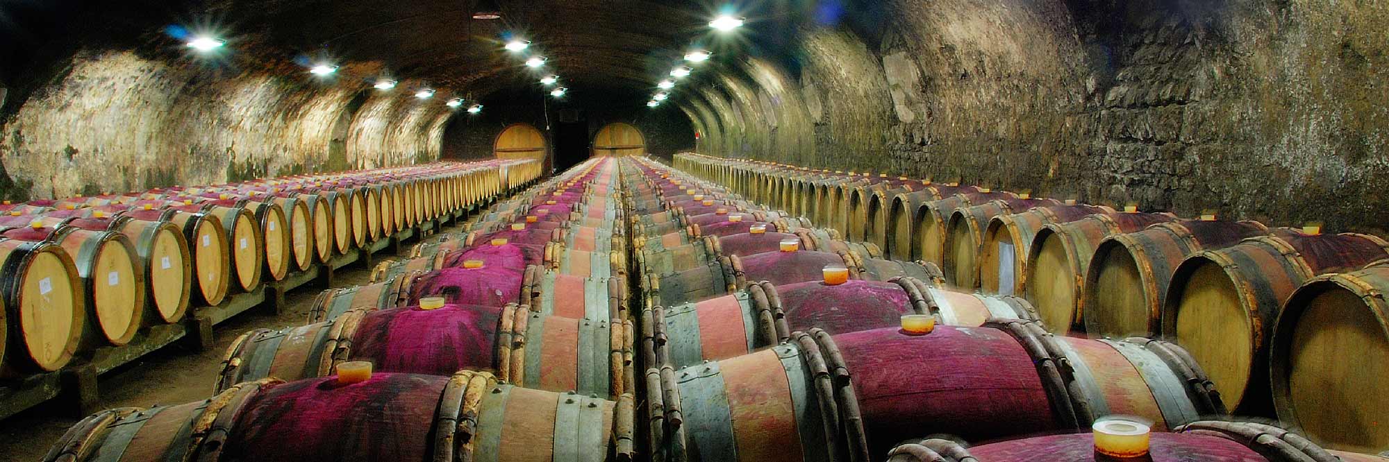Caves du Château de Chénas 7